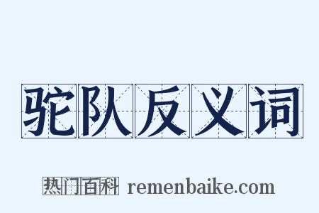 驼队反义词是什么意思的图片